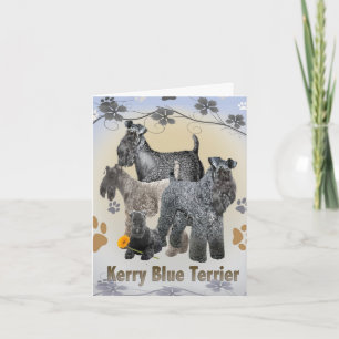 Kerry Blue Terrier-Wenskaarten Kaart