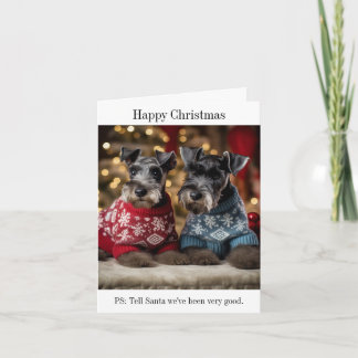 Kerry Blue Terriers dans la carte des jumpers de N