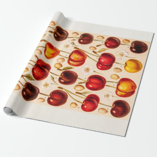  kersen Antiek kersen fruit Cadeaupapier