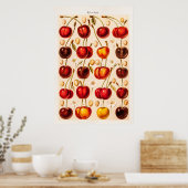  kersen Antiek kersen fruit Poster (Keuken)
