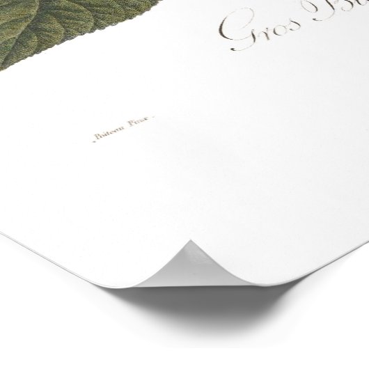 Kersen, groot hartvormig poster (Hoek)