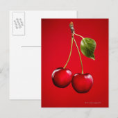 Kersen met blad op rode achtergrond briefkaart (Voorkant / Achterkant)