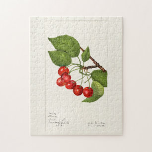 Kersen (Prunus Avium) Waterverf-schilderijen Legpuzzel
