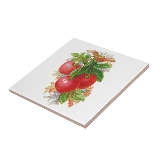  kersen tegeltje (Zijkant)