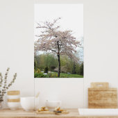 kersenbloeiende boom in de regen poster (Keuken)