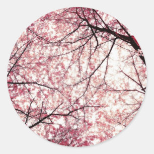 Kersenbloesem 2 ronde sticker