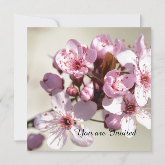 Kersenbloesem bloemen verjaardag kaart (Voorkant)