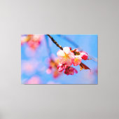 Kersenbloesem, Bloemknoppen en de blauwe lucht van Canvas Afdruk (Voorkant)