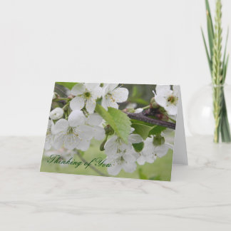 Kersenbloesem, Denken aan jou Kaart