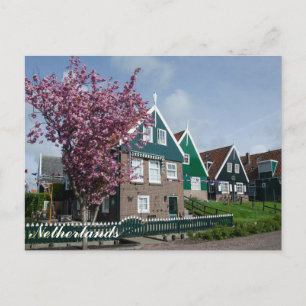 Kersenbloesem in Marken, Nederland Briefkaart