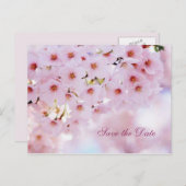 Kersenbloesem Save the Date aankondiging briefkaar (Voorkant / Achterkant)