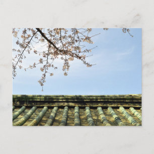 Kersenbloesem: Zojoji-tempel, Tokio, Japan Postca Briefkaart