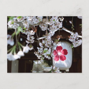Kersenbloesemfeest in Kyoto Briefkaart