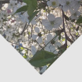 Kersenbloesems 10lb Tissue Paper, Wit Tissuepapier (Detail)