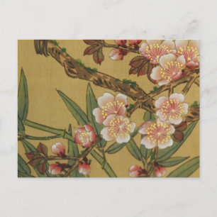 kersenbloesems aziatisch japans briefkaart