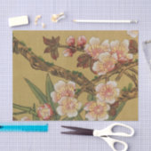 kersenbloesems aziatisch japans tissuepapier (Craft)