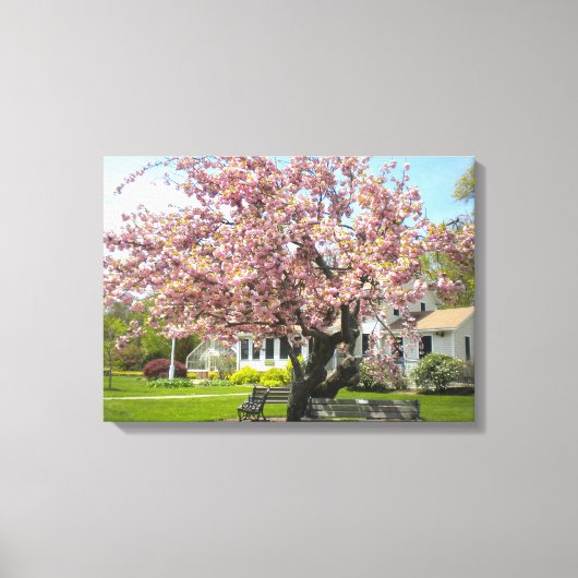 Kersenbloesems verpakt canvas afdruk (Voorkant)