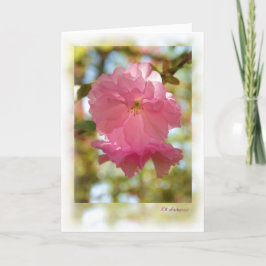 Kersenboom (Kwanzan) Kaart