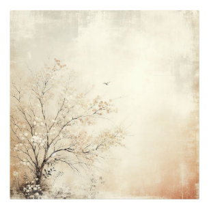 Kersenboom Oude Foto Grafisch Ontwerp Afdruk
