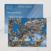 kersensbloesem in de blauwe hemel. Briefkaart datu (Voorkant / Achterkant)