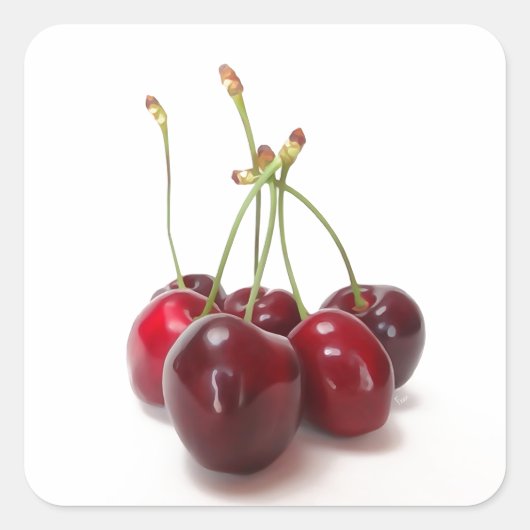 kersrijp vierkante sticker (Voorkant)