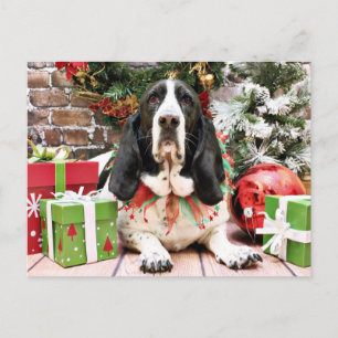 Kerst - Basset Hound - Jasmijn Feestdagenkaart