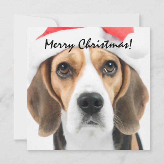 Kerst Beagle Notitiekaartje (Voorkant)