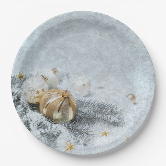 Kerst bevroren ornamenten papieren bordje (Voorkant)