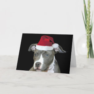 Kerst blauw pitbull puppy wenskaart feestdagen kaart