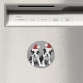 Kerst Boston Terriers Magneet (Insitu (Vaatwasser))