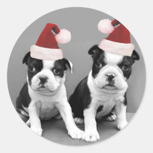 Kerst Boston Terriers Ronde Sticker
