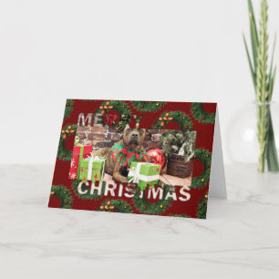 Kerst - Boxer X - Kita Feestdagen Kaart