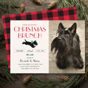 Kerst Brunch Party Scottie Hond Foto Rood Kaart