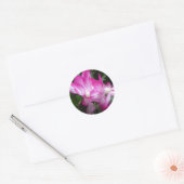 Kerst Cactus Flowers Sticker (Envelop)