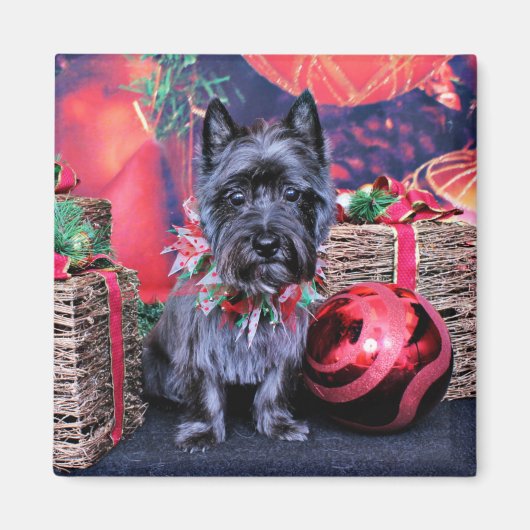 Kerst - Cairn Terrier - Jewel Magneet (Voorkant)