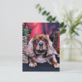 Kerst - Cavalier - Cooper Feestdagenkaart (Staand voorkant)