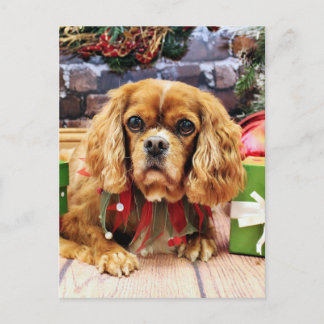 Kerst - Cavalier King Charles Spaniel - Lily Feestdagenkaart