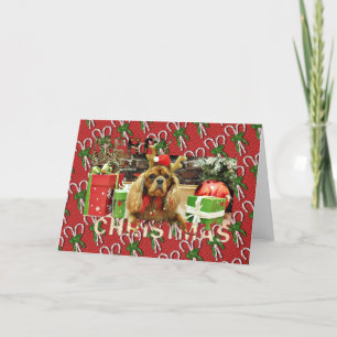 Kerst - Cavalier King Charles Spaniel - Meyers Feestdagen Kaart