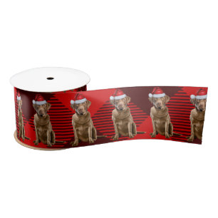 Kerst Chesapeake Bay Retriever Red Plaid Lint