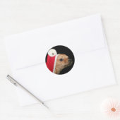 Kerst Chihuahua stickers (Envelop)