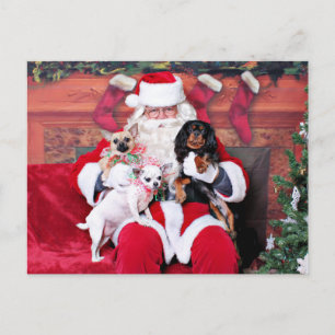 Kerst - Chihuahuas en Cavalier Feestdagenkaart