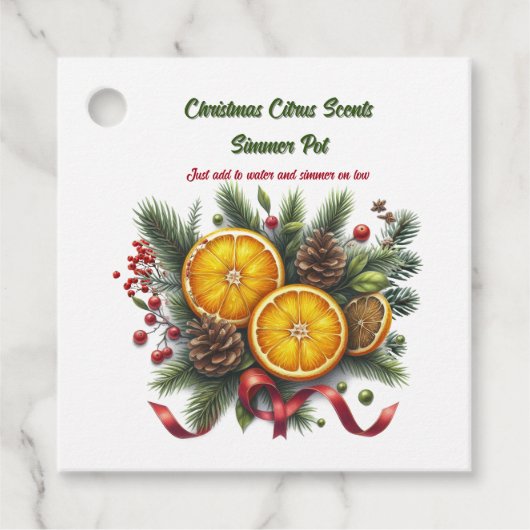 Kerst Citrus Simmer Pot Geuren Bedankjes Labels (Voorkant)