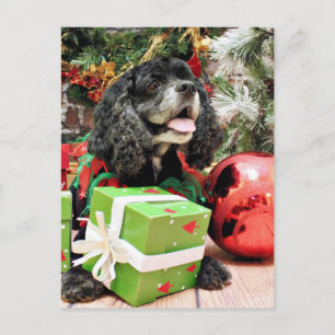 Kerst - Cocker Spaniel - Marshall Feestdagenkaart