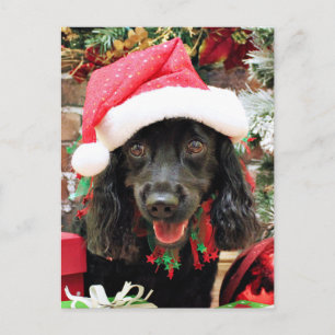 Kerst - Cocker Spaniel X - Peper Feestdagenkaart