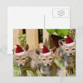 Kerst Coyote Pups Feestdagenkaart (Voorkant / Achterkant)