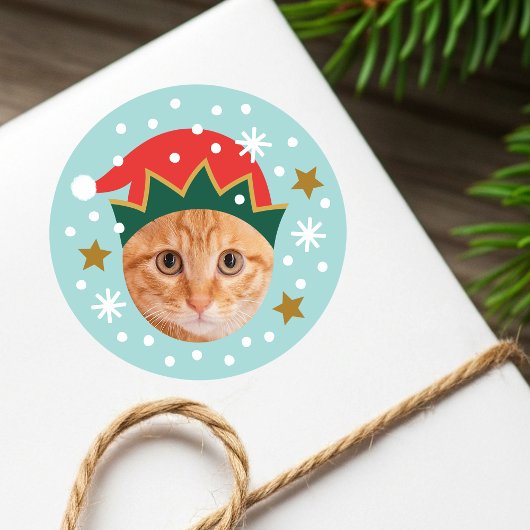 Kerst Custom Foto Feestelijke Elf Pet Funny Blue Ronde Sticker
