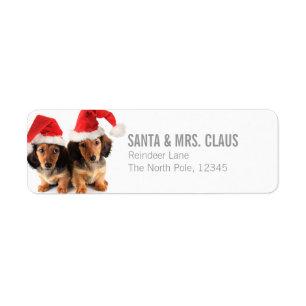 Kerst Dachshund Puppies Dragen Santa Hats Etiket