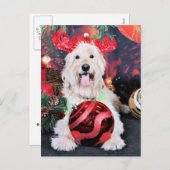 Kerst - Daisy - Goldendoodle Feestdagenkaart (Voorkant / Achterkant)