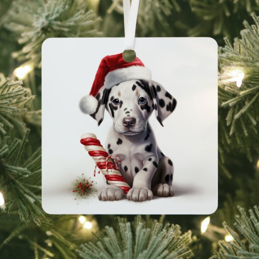 Kerst Dalmatie vakantie ornament (Insitu)