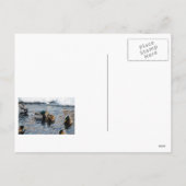 "Kerst Ducks" Feestdagenkaart (Achterkant)